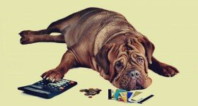 5 Steps to Becoming Debt Free This Year